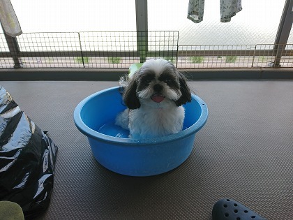 20180814001.jpg