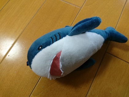 20190604001.jpg
