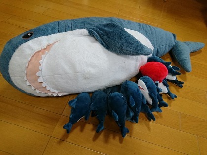 20190604002.jpg