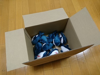 20190604008.jpg